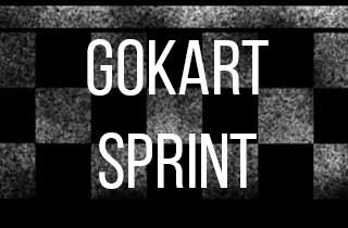 media/image/GoKart-Sprint-mobil.jpg